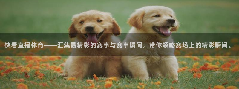 鲸鱼体育直播app下载：快看直播体育——汇集最精彩的赛事与赛事瞬间，带你领略赛场上的精彩瞬间。