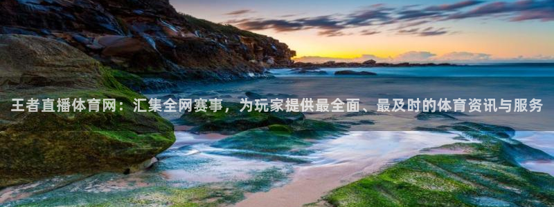 鲸鱼体育nba68.tv：王者直播体育网：汇集全网赛事，为玩家提供最全面、最及时的体育资讯与服务