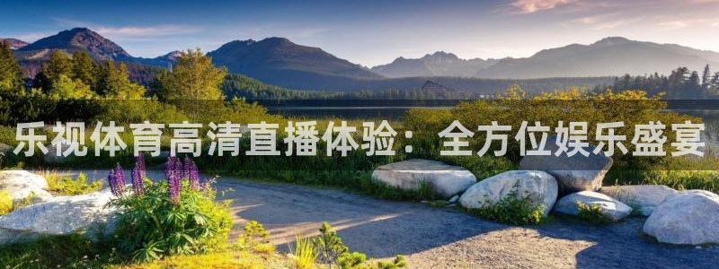 鲸鱼体育免费观看官网：乐视体育高清直播体验：全方位娱乐盛宴