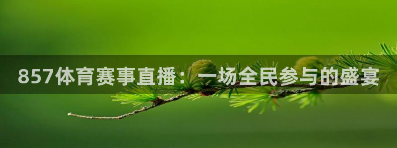 cc35tv鲸鱼体育：857体育赛事直播：一场全民参与的盛宴