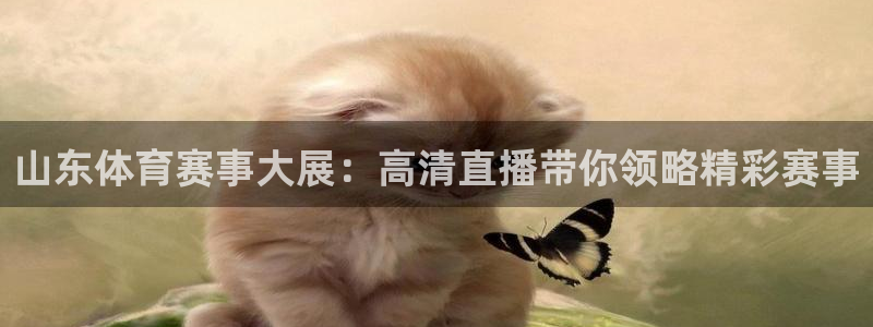 鲸鱼体育直播官网：山东体育赛事大展：高清直播带你领略精彩赛事