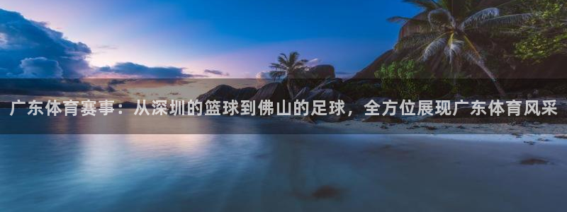 鲸鱼体育nba直播在线观看：广东体育赛事：从深圳的篮球到佛山的足球，全方位展现广东体育风采