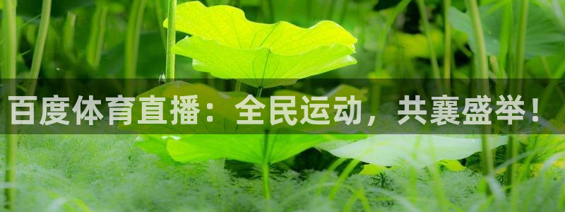 鲸鱼体育直播免费观看：百度体育直播：全民运动，共襄盛举！