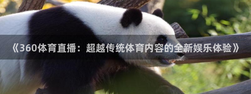 鲸鱼体育网址：《360体育直播：超越传统体育内容的全新娱乐体验》