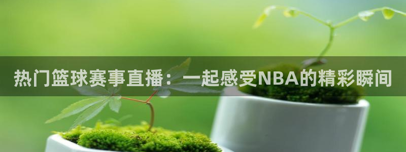 鲸鱼体育直播live：热门篮球赛事直播：一起感受NBA的精彩瞬间