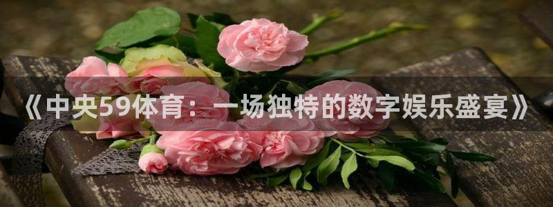 鲸鱼体育app官方下载最新版：《中央59体育：一场独特的数字娱乐盛宴》