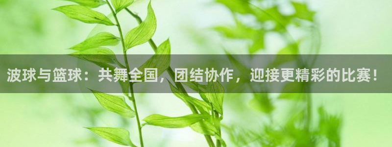 鲸鱼直播体育：波球与篮球：共舞全国，团结协作，迎接更精彩的比赛！