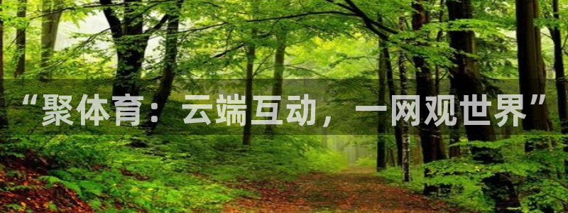 鲸鱼体育直播在线观看高清：“聚体育：云端互动，一网观世界”