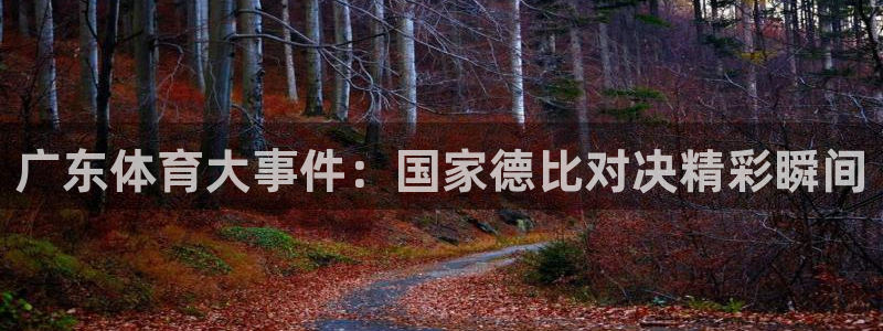 鲸鱼直播：广东体育大事件：国家德比对决精彩瞬间