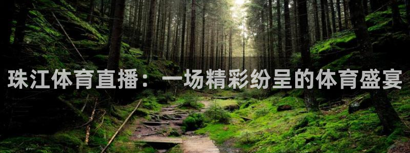 蓝鲸鱼直播app：珠江体育直播：一场精彩纷呈的体育盛宴