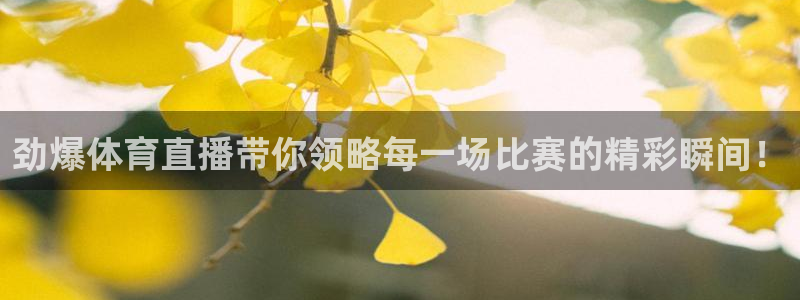鲸鱼体育app官方下载最新版：劲爆体育直播带你领略每一场比赛的精彩瞬间！