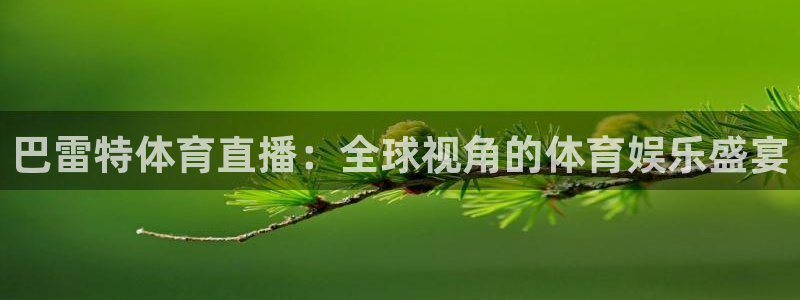 鲸鱼体育直播在线观看高清：巴雷特体育直播：全球视角的体育娱乐盛宴
