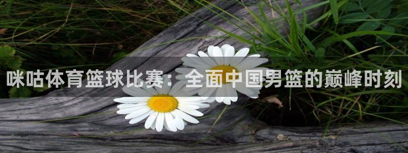 鲸鱼体育直播app官网下载：咪咕体育篮球比赛：全面中国男篮的巅峰时刻