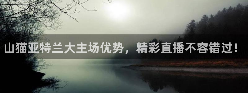 cc35tv鲸鱼体育：山猫亚特兰大主场优势，精彩直播不容错过！