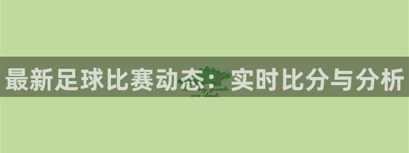 鲸鱼体育nba73.tv：最新足球比赛动态：实时比分与分析