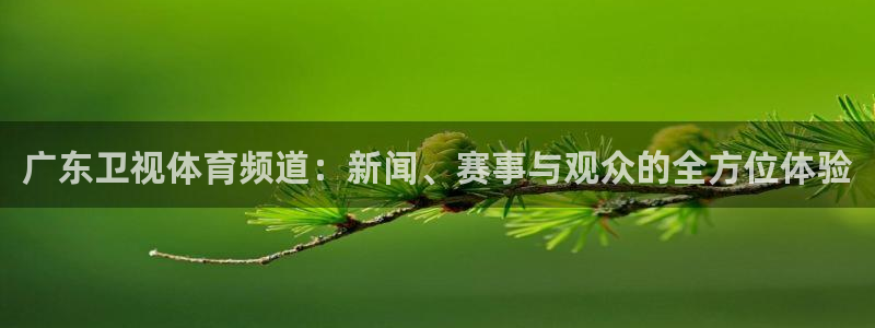 鲸鱼tv：广东卫视体育频道：新闻、赛事与观众的全方位体验