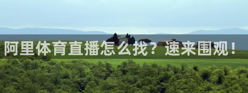 鲸鱼直播体育：阿里体育直播怎么找？速来围观！
